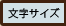 文字サイズ