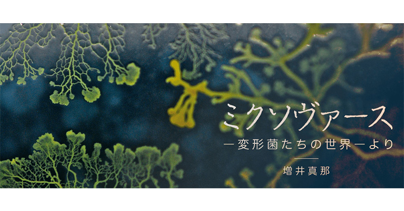 集英社学芸部 - 学芸・ノンフィクション