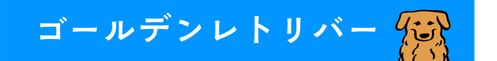 ゴールデンレトリバー