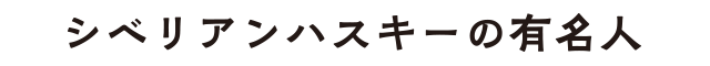 シベリアンハスキーの有名人