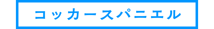 コッカースパニエル