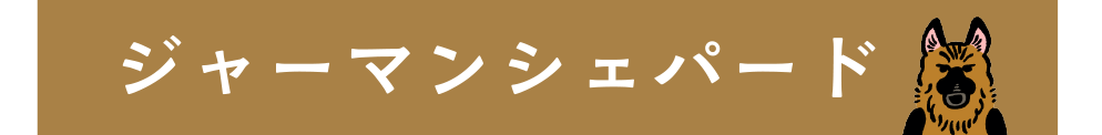 ジャーマンシェパード