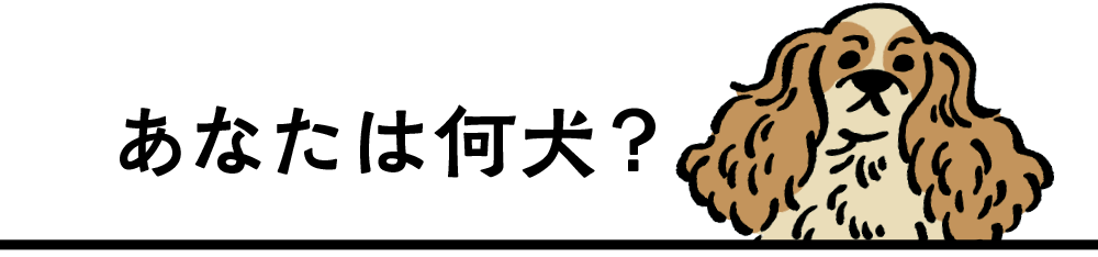あなたは何犬？