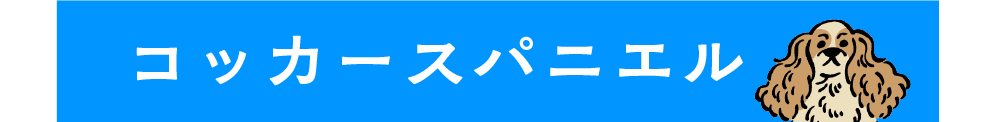 コッカースパニエル